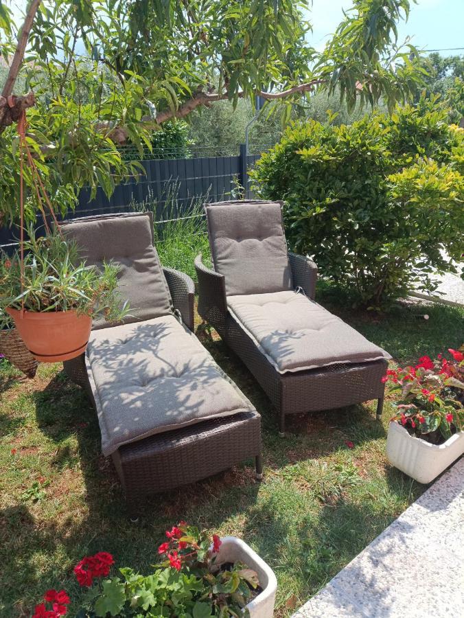 בוג'ה Apartment Dorina מראה חיצוני תמונה