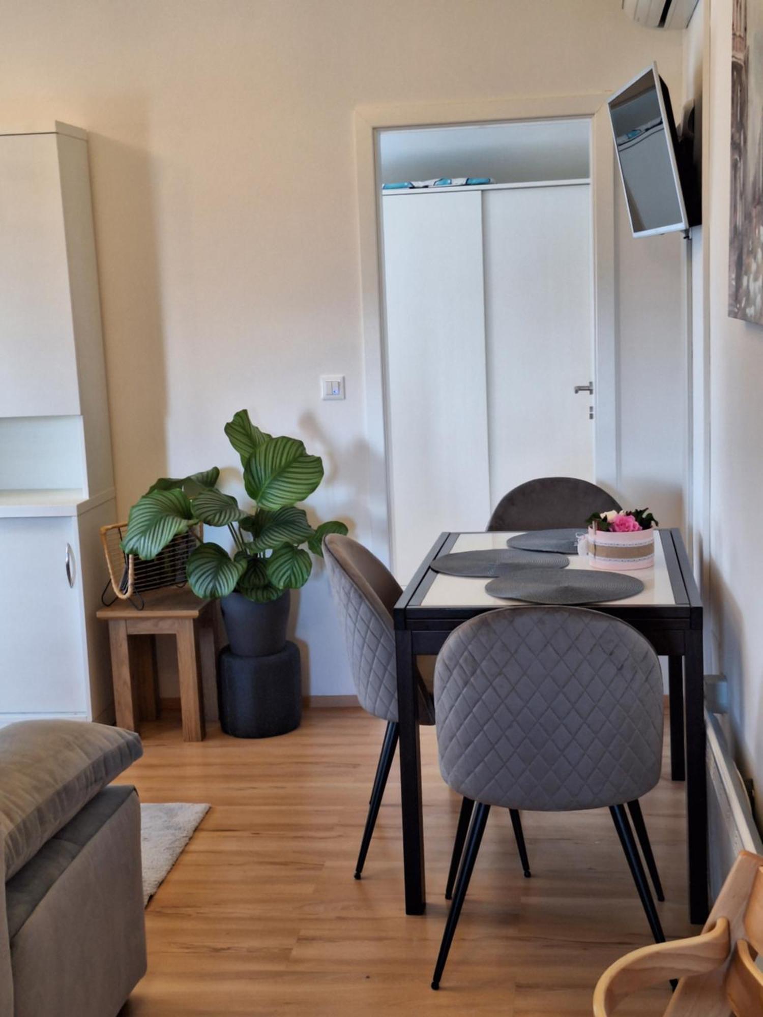 בוג'ה Apartment Dorina מראה חיצוני תמונה