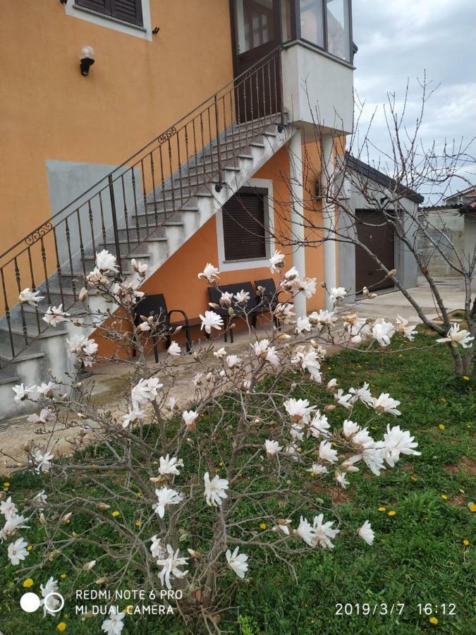 בוג'ה Apartment Dorina מראה חיצוני תמונה