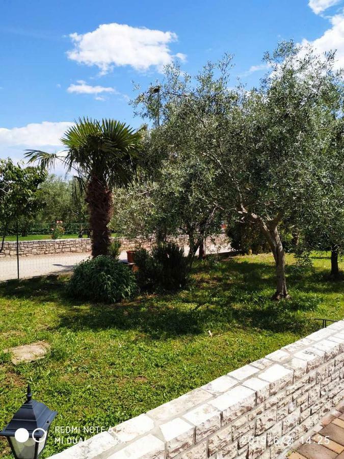 בוג'ה Apartment Dorina מראה חיצוני תמונה