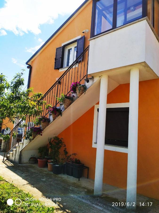 בוג'ה Apartment Dorina מראה חיצוני תמונה